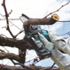 Makita UC100DZ01