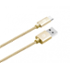 Aligator datový kabel PREMIUM 2A, USB-C zlatý