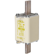 OEZ PNA1 100A aM