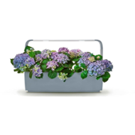 Tregren T12 KITCHEN GARDEN 