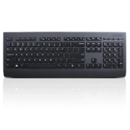Lenovo Professional Wireless Keyboard and Mouse Combo - Czech