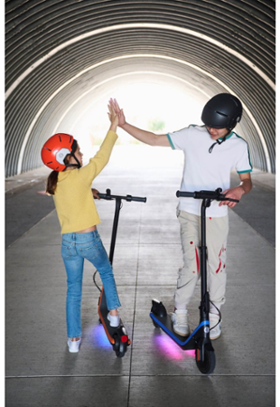 Ninebot eKickScooter ZING C2 Pro