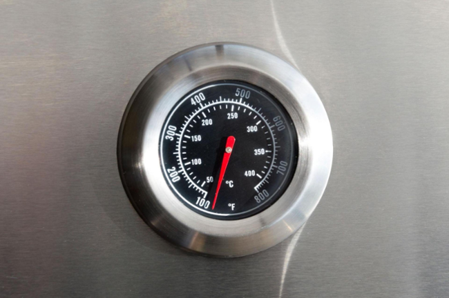 G21 Nevada GA-BBQNVD