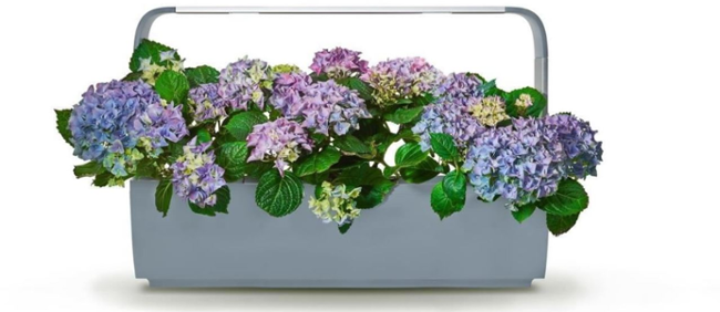 Tregren T12 KITCHEN GARDEN 