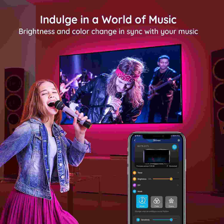 Govee H61790A1 TV 46-60