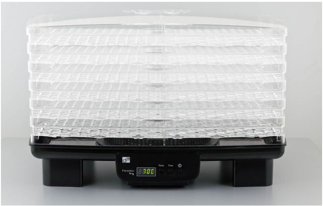 G21 Paradiso Big černá