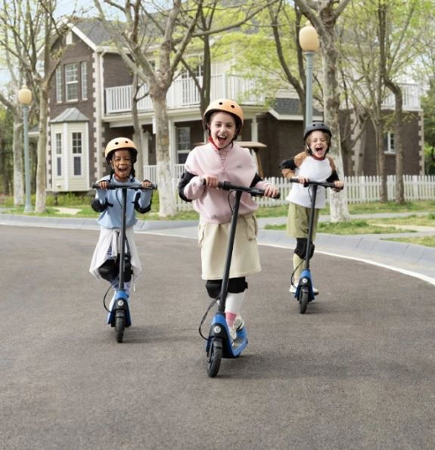 Ninebot eKickScooter C2 Lite