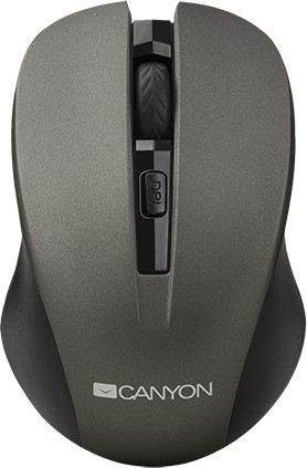 Canyon CNE-CMSW1G šedá