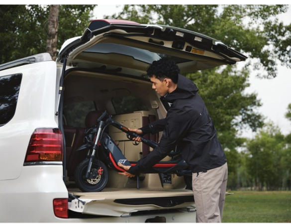 Segway eKickScooter ZT3 Pro E