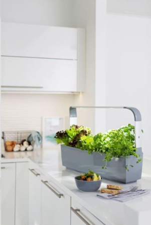 Tregren T12 KITCHEN GARDEN 