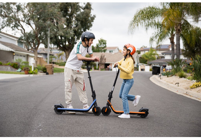 Ninebot eKickScooter ZING C2