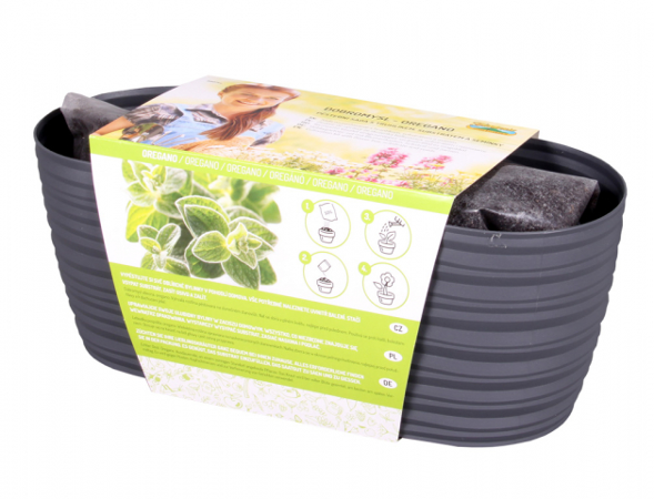 Truhlík ZAHRÁDKA SAHARA-OREGÁNO 8810an