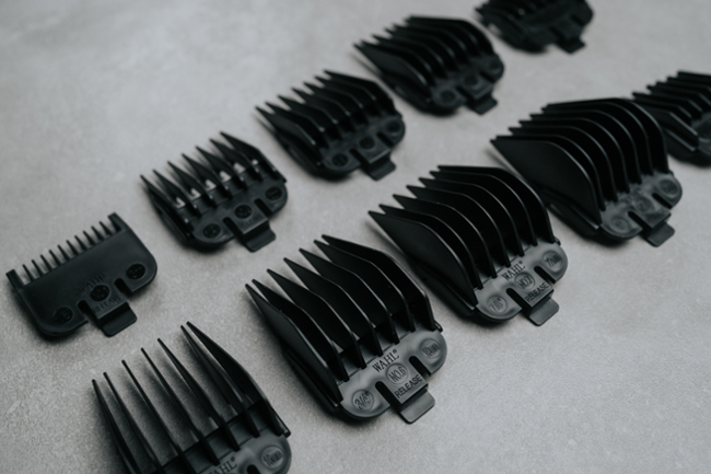 Wahl 09243-2616 HomePro Complete Ki