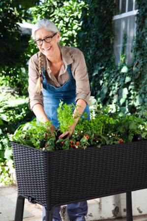 Keter Easy Grow grafitový