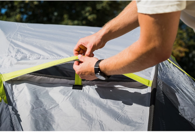 Coleman Darwin 2 Plus 2176902