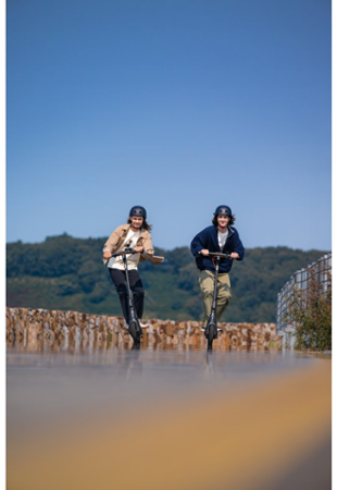 Ninebot KickScooter E2 Pro E