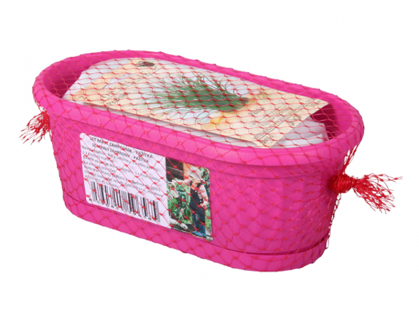 Nohel Garden Malý zahradník Pažitka