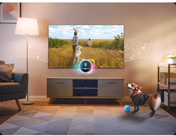Samsung QE55QN80F