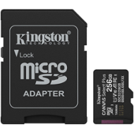 Kingston SDCS3/256GB