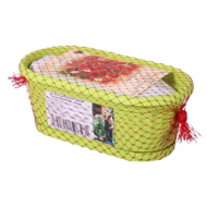 Nohel Garden Malý zahradník Jahoda