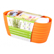 Nohel Garden Zahrádka Sahara Rozmarýn